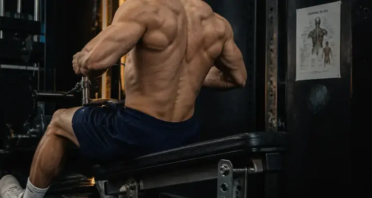 Dos musculation : rowing guidé, omoplates en action