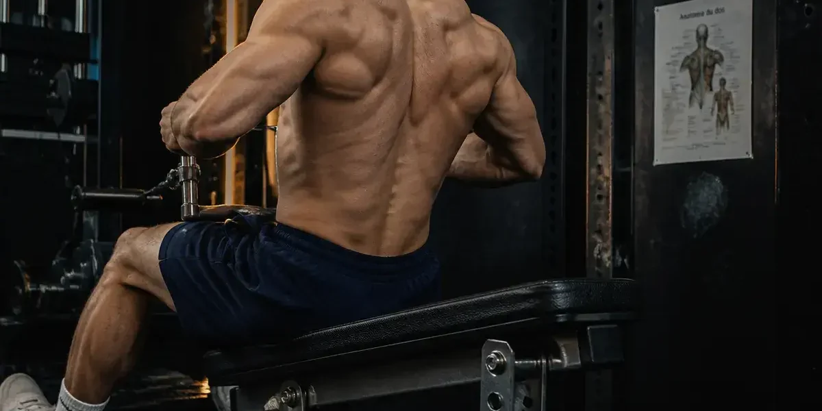 Dos musculation : rowing guidé, omoplates en action