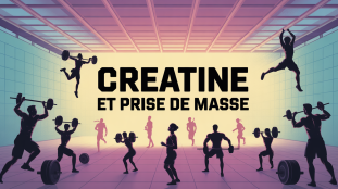 prise de masse creatine salle musculation silhouettes stylisées